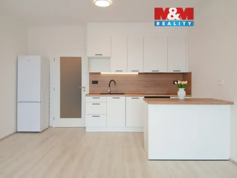 Pronájem bytu 1+kk, Opava - Předměstí, Císařského pluku, 37 m2