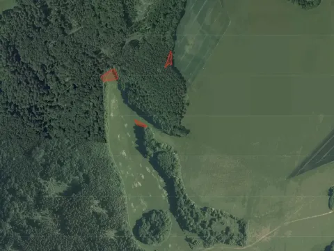 Prodej pole, Ostrov u Macochy, 5747 m2