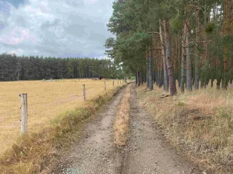 Dražba pozemku, Kladruby, 1744 m2