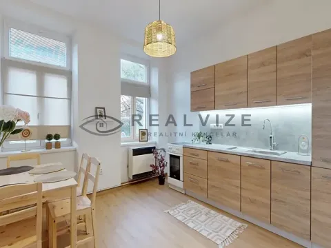 Pronájem bytu 2+kk, České Budějovice, J. Plachty, 50 m2