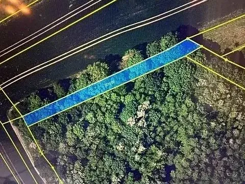 Prodej lesa, Březolupy, 910 m2