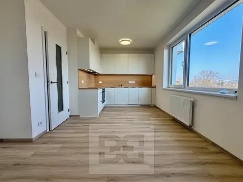 Pronájem bytu 1+kk, Brno, Jižní, 37 m2