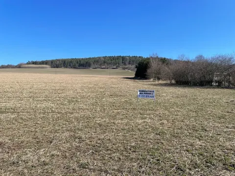 Prodej pozemku pro bydlení, Dolany, 1077 m2