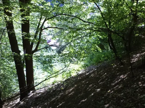 Prodej pozemku, Děčín, 675 m2