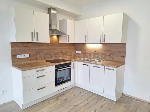 Pronájem bytu 2+kk, Olomouc, Wolkerova, 62 m2