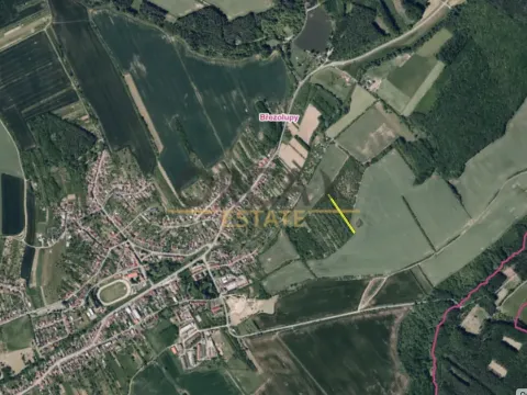 Prodej louky, Březolupy, 1729 m2