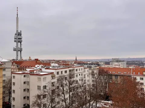 Prodej bytu 2+kk, Praha - Žižkov, Lucemburská, 80 m2