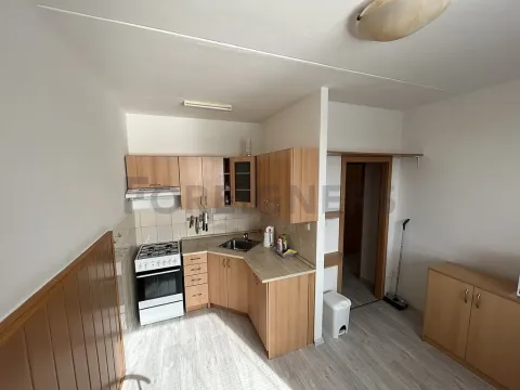 Pronájem bytu 1+1, Pardubice, U Josefa, 47 m2