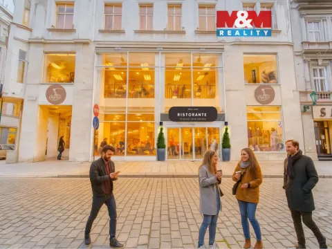 Pronájem restaurace, Plzeň - Vnitřní Město, Zbrojnická, 598 m2