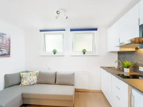 Prodej bytu 1+kk, Praha - Krč, Čerčanská, 18 m2