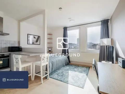 Pronájem bytu 1+kk, Praha - Vinohrady, Perucká, 27 m2