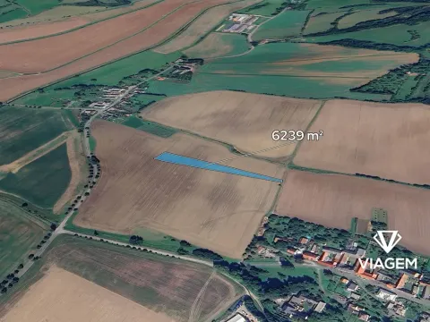 Prodej pole, Bezděčí u Trnávky, 6239 m2