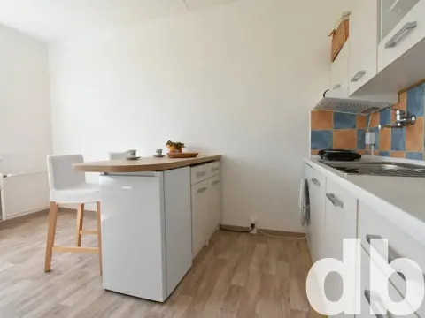 Prodej bytu 1+kk, Chodov, Čapkova, 21 m2