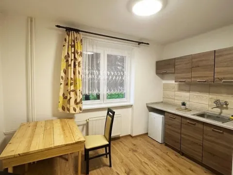 Pronájem bytu 1+1, Litvínov - Chudeřín, Horská, 42 m2