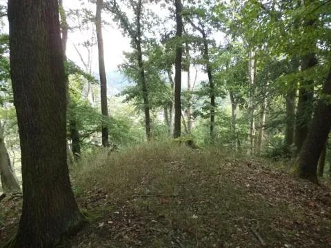 Dražba louky, Malé Březno, 14517 m2