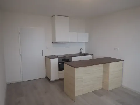 Pronájem bytu 1+kk, Liberec - Liberec XIV-Ruprechtice, Na Pískovně, 23 m2