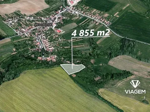 Prodej zahrady, Medlovice, 4855 m2