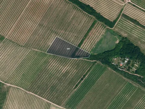 Prodej pole, Nový Šaldorf-Sedlešovice, 12133 m2