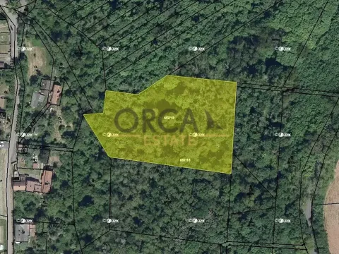 Prodej pozemku, Domoušice, 10654 m2