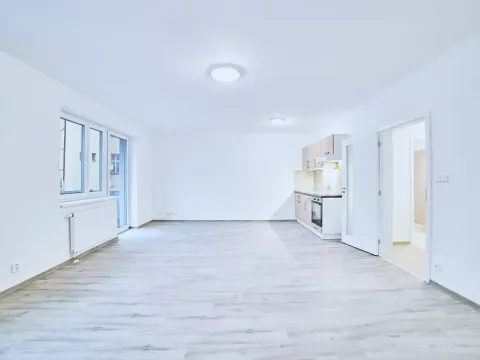 Pronájem bytu 1+kk, Plzeň, Železniční, 50 m2