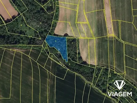 Prodej podílu lesa, Pozdeň, 2404 m2