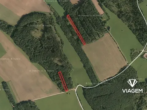 Prodej podílu lesa, Bojkovice, 2789 m2