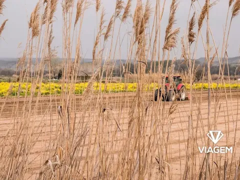 Prodej podílu pole, Cetechovice, 4266 m2