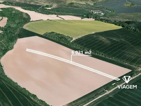 Prodej podílu pole, Babice, 1756 m2