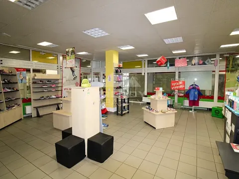 Pronájem obchodního prostoru, Plzeň, Gerská, 98 m2