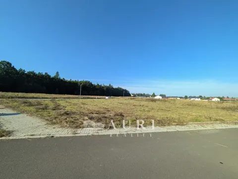 Prodej pozemku pro bydlení, Olešná, 1130 m2