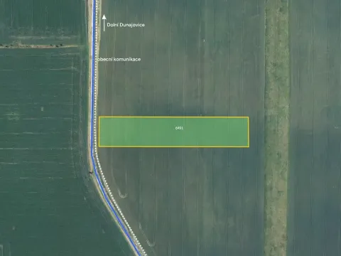 Prodej pole, Dolní Dunajovice, 11622 m2