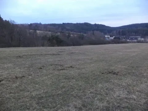 Dražba pole, Tis u Blatna, 6625 m2