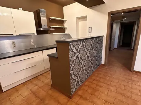 Prodej obchodního prostoru, Praha - Nusle, Na Jezerce, 74 m2