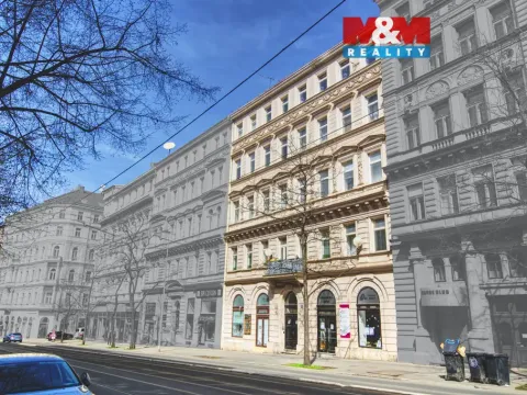 Pronájem bytu 3+1, Praha - Vinohrady, Vinohradská, 119 m2