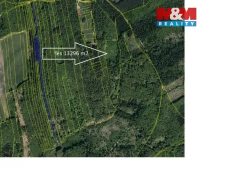 Prodej lesa, Luhačovice, 13296 m2