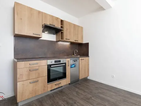 Pronájem bytu 1+kk, Ostrava, Palackého, 30 m2