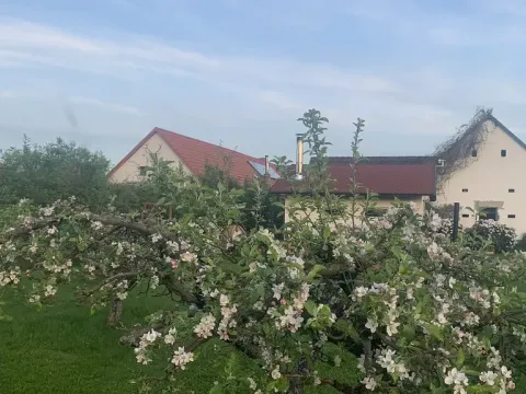 Prodej komerční, Pluhův Žďár - Jižná, 28792 m2