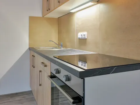 Pronájem bytu 1+kk, Plzeň, Rejskova, 50 m2