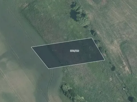 Prodej pole, Trstěnice, 4160 m2