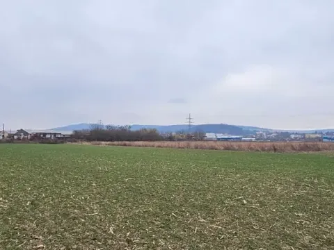 Prodej komerčního pozemku, Tečovice, 15590 m2