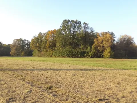 Dražba louky, Petrovice u Karviné, 6981 m2