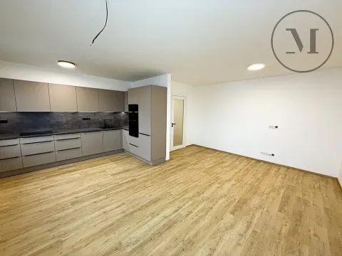Pronájem bytu 3+kk, České Budějovice, A. Trägera, 83 m2