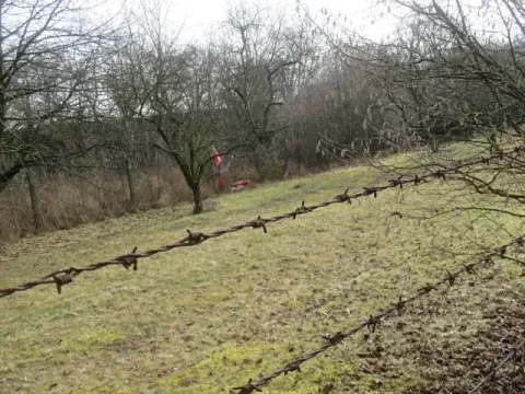 Dražba pole, Měrovice nad Hanou, 1943 m2