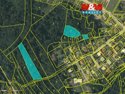 Prodej lesa, Hosín, 5612 m2