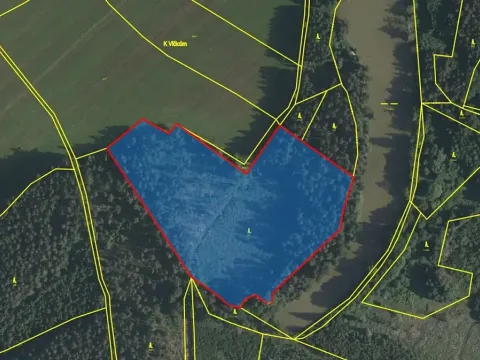 Prodej lesa, Nová Olešná, 22371 m2