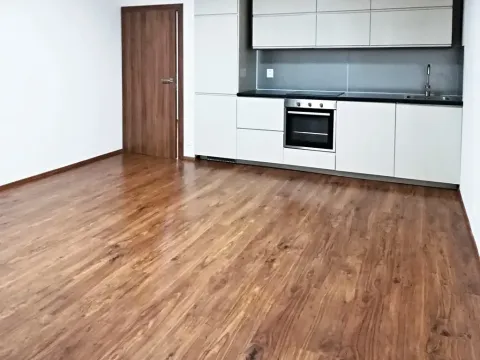 Pronájem bytu 2+kk, Praha - Dejvice, Lindleyova, 55 m2