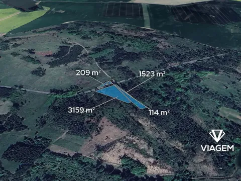 Prodej lesa, Račice, 5005 m2