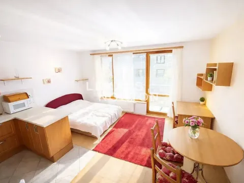 Prodej bytu 1+kk, Praha - Zličín, Lipovská, 31 m2