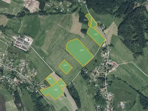 Prodej louky, Jílové u Držkova, 26037 m2