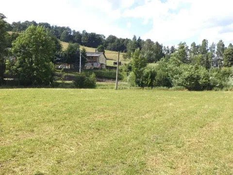 Dražba louky, Teplice nad Metují, 1315 m2